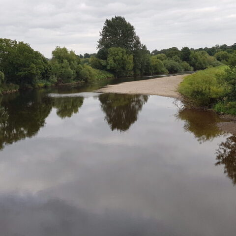 The Sellack Beat – River Wye.
