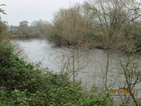 Weirend Fishery – River Wye.