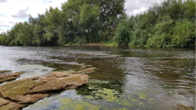 RoWAC calls for stronger action against Wye pollution